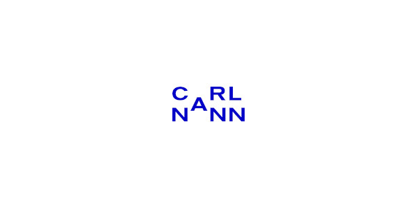 CarlNann GmbH - Einführung BI System