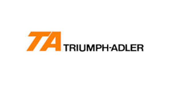 Triumph Adler AVITec GmbH - Erstellung Controlling Handbuch - Analyse der Controllingsprozesse